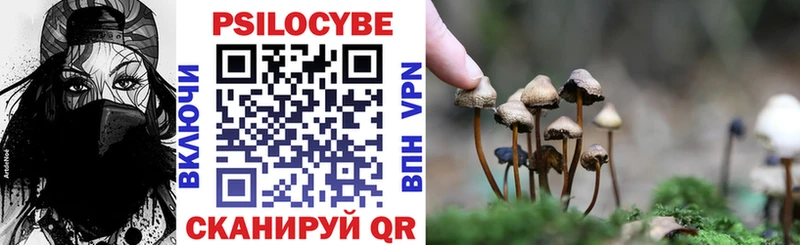 Галлюциногенные грибы мицелий  Купить  Глазов 